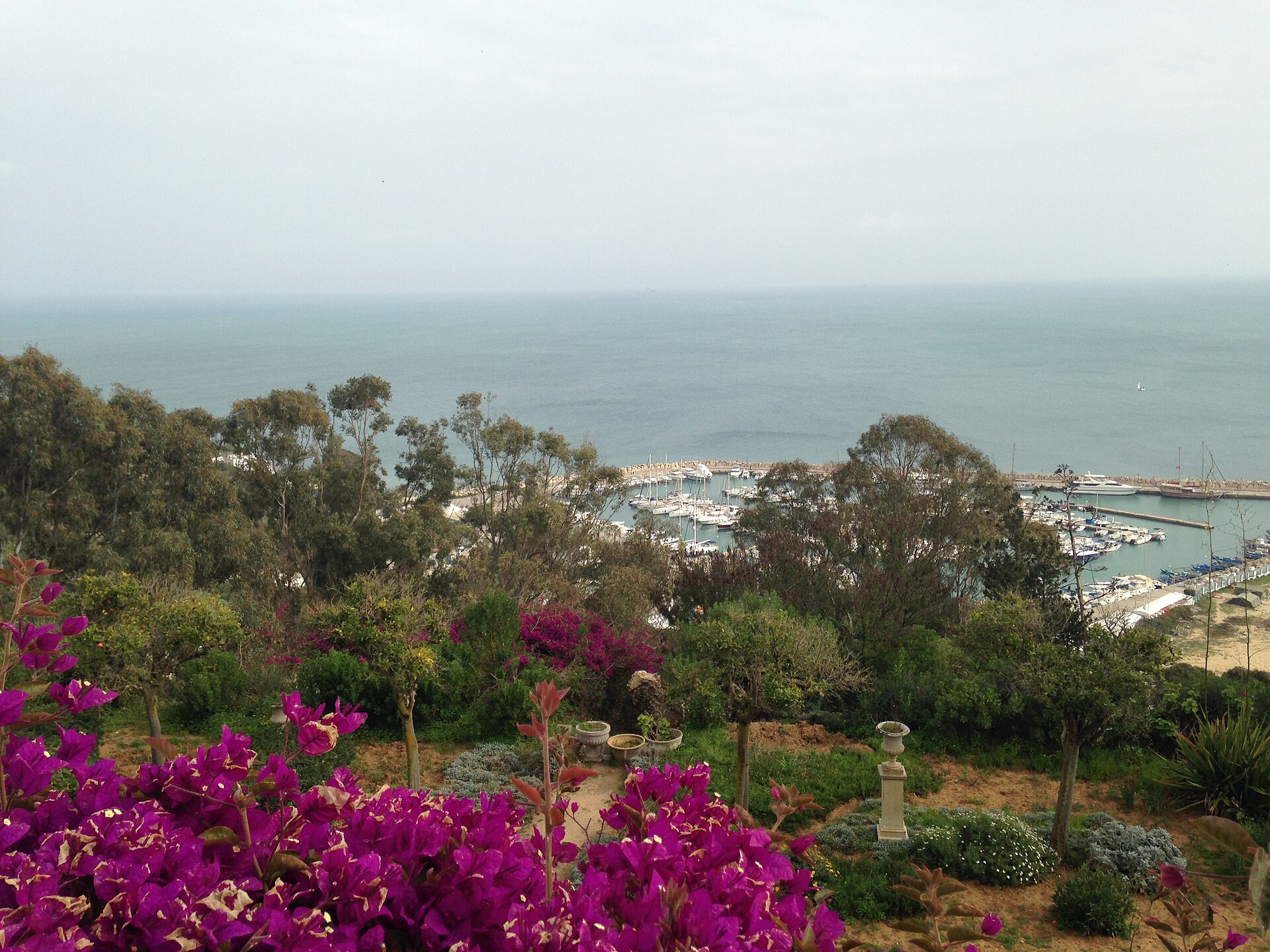Sidi Bou Said: The Blue-and-White Village Above the Gulf of Tunis